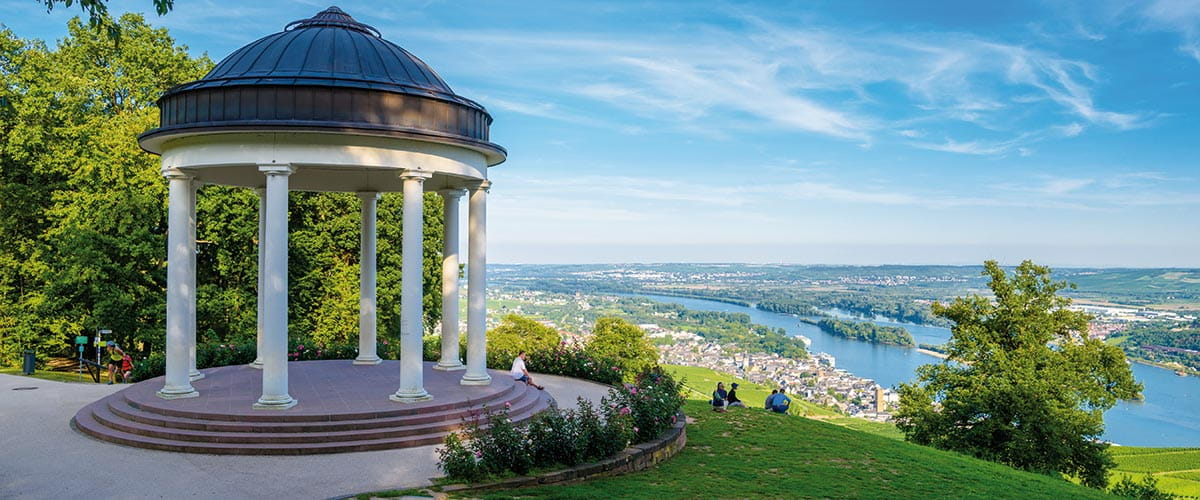 A view over Rüdesheim and the Rhine river, Germany